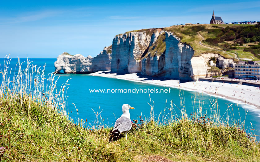 A view of the white chalk cliffs at Etretat